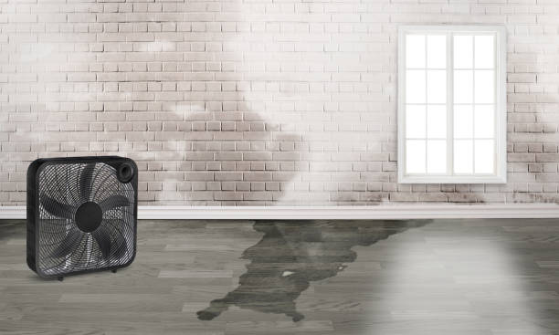 Best Flood restoration services  in Lake Mawk, OH