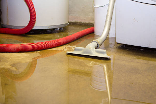 Best Ceiling water damage repair  in Lake Mawk, OH