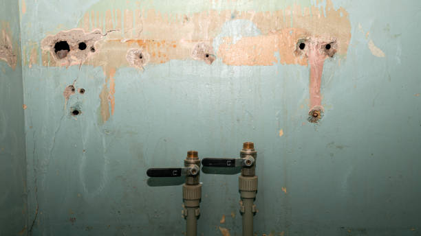 Best Emergency water extraction  in Lake Mawk, OH